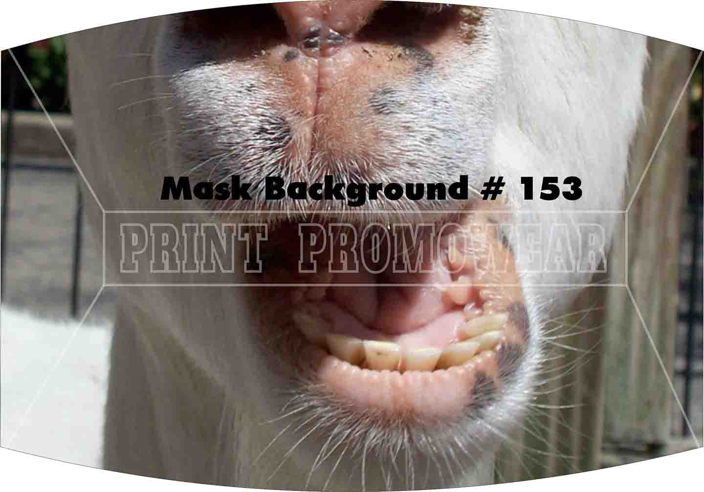 Image/MaskBackground/153.jpg