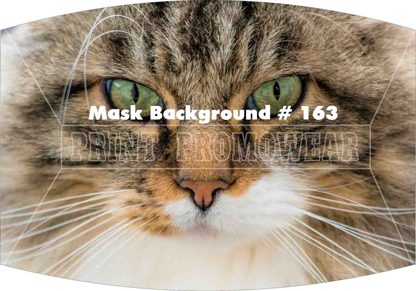 Image/MaskBackground/163.jpg